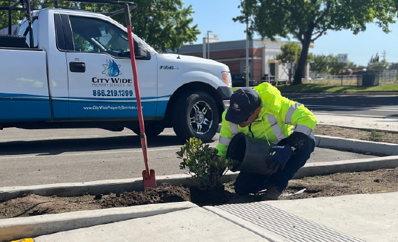 Commercial landscape improvements